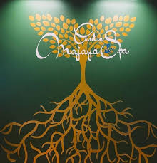 Logo Centre Majaya Spa